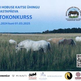Fotokonkurss "Pühendusega eesti tõugu hobusele"